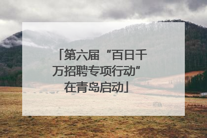 第六届“百日千万招聘专项行动”在青岛启动