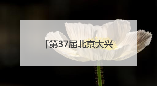 第37届北京大兴西瓜节盛大启幕 “以瓜为媒”激活产业融合发展新动能