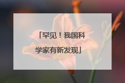 罕见！我国科学家有新发现