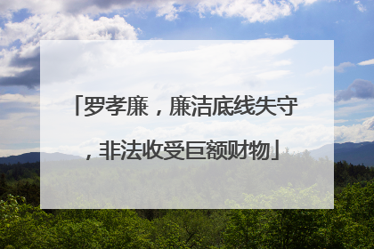 罗孝廉，廉洁底线失守，非法收受巨额财物