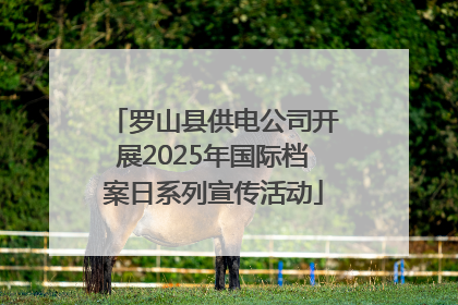 罗山县供电公司开展2025年国际档案日系列宣传活动
