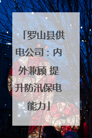 罗山县供电公司：内外兼顾 提升防汛保电能力