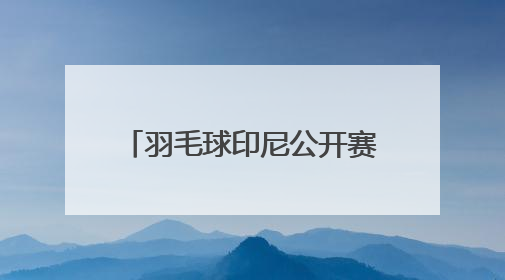 羽毛球印尼公开赛｜王祉怡不敌安洗莹 获得女单亚军