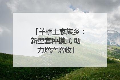 羊桥土家族乡：新型套种模式 助力增产增收