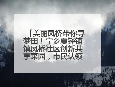 美丽凤桥带你寻梦田！宁乡夏铎铺镇凤桥社区创新共享菜园，市民认领菜土，体验耕种收获乐趣