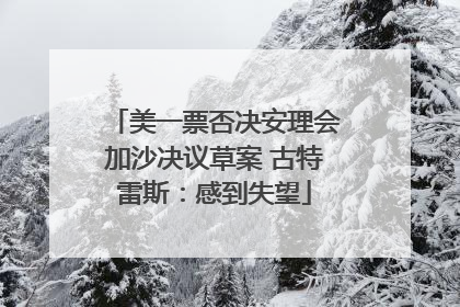 美一票否决安理会加沙决议草案 古特雷斯：感到失望