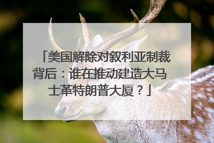 美国解除对叙利亚制裁背后：谁在推动建造大马士革特朗普大厦？