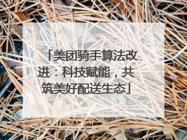 美团骑手算法改进：科技赋能，共筑美好配送生态