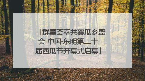 群星荟萃共襄瓜乡盛会 中国·东明第二十届西瓜节开幕式启幕
