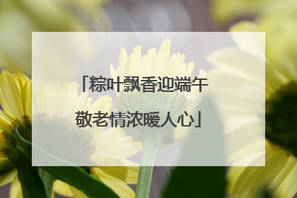 粽叶飘香迎端午 敬老情浓暖人心