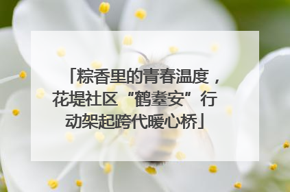 粽香里的青春温度，花堤社区“鹤耋安”行动架起跨代暖心桥