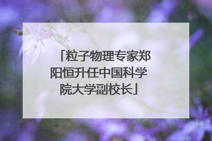 粒子物理专家郑阳恒升任中国科学院大学副校长