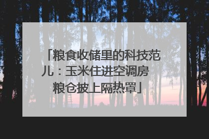 粮食收储里的科技范儿：玉米住进空调房 粮仓披上隔热罩
