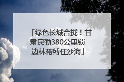 绿色长城合拢！甘肃民勤380公里锁边林带缚住沙海
