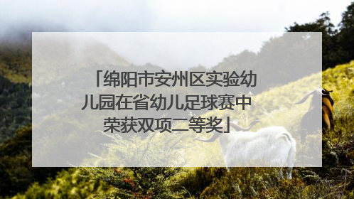 绵阳市安州区实验幼儿园在省幼儿足球赛中荣获双项二等奖