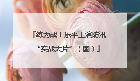 练为战！乐平上演防汛 “实战大片”（图）