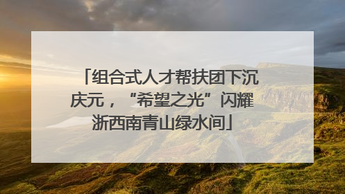 组合式人才帮扶团下沉庆元，“希望之光”闪耀浙西南青山绿水间