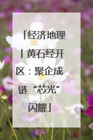经济地理丨黄石经开区：聚企成链“芯光”闪耀