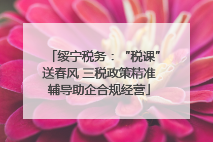 绥宁税务：“税课”送春风 三税政策精准辅导助企合规经营