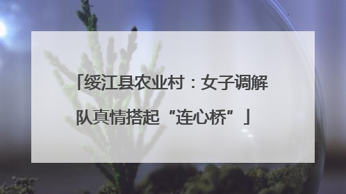绥江县农业村：女子调解队真情搭起“连心桥”