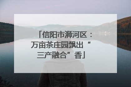 信阳市浉河区：万亩茶庄园飘出“三产融合”香