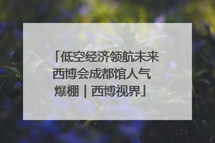 低空经济领航未来 西博会成都馆人气爆棚｜西博视界