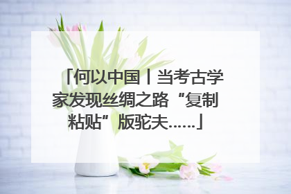 何以中国丨当考古学家发现丝绸之路“复制粘贴”版驼夫……