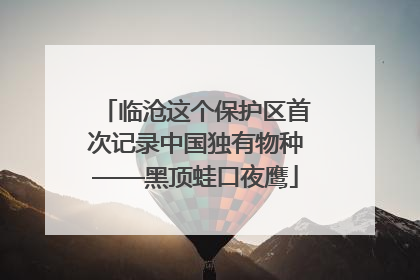 临沧这个保护区首次记录中国独有物种——黑顶蛙口夜鹰