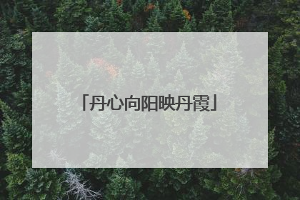丹心向阳映丹霞