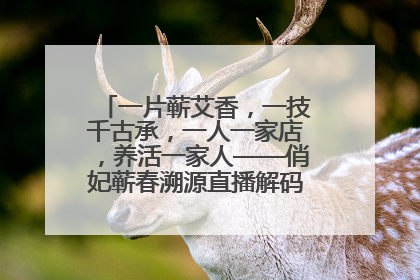 一片蕲艾香，一技千古承，一人一家店，养活一家人——俏妃蕲春溯源直播解码中医养生文化传承