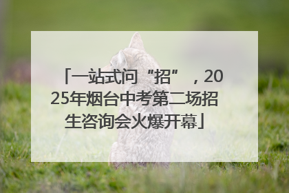 一站式问“招”，2025年烟台中考第二场招生咨询会火爆开幕
