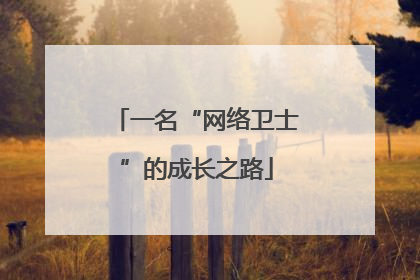 一名“网络卫士”的成长之路