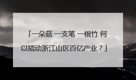 一朵菇 一支笔 一根竹 何以撬动浙江山区百亿产业？