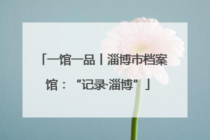 一馆一品丨淄博市档案馆：“记录·淄博”