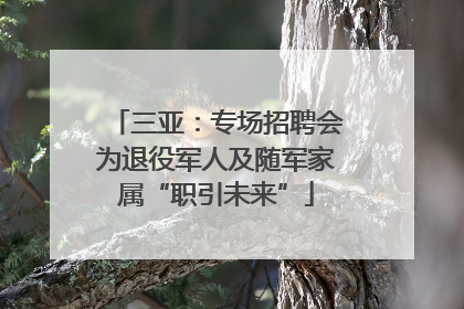 三亚：专场招聘会为退役军人及随军家属“职引未来”