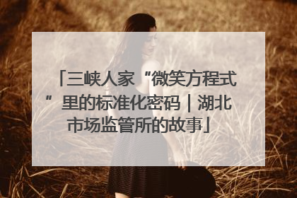 三峡人家“微笑方程式”里的标准化密码｜湖北市场监管所的故事