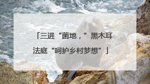 三进“菌地，”黑木耳法庭“呵护乡村梦想”