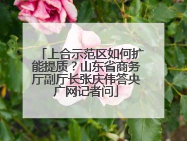 上合示范区如何扩能提质？山东省商务厅副厅长张庆伟答央广网记者问