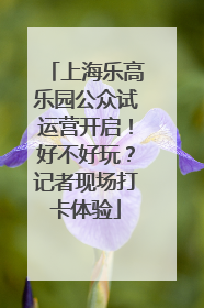上海乐高乐园公众试运营开启！好不好玩？记者现场打卡体验