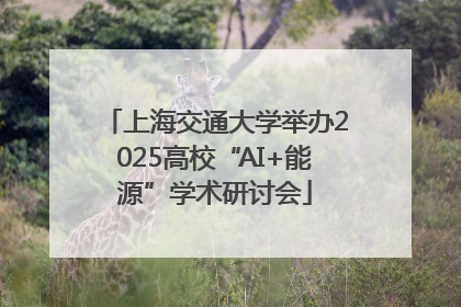 上海交通大学举办2025高校“AI+能源”学术研讨会