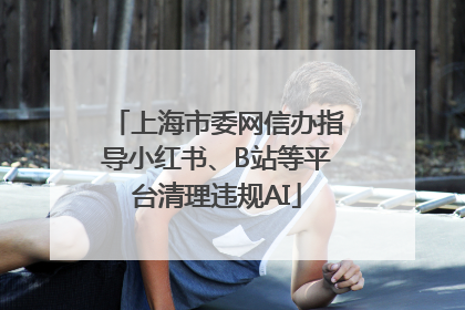 上海市委网信办指导小红书、B站等平台清理违规AI
