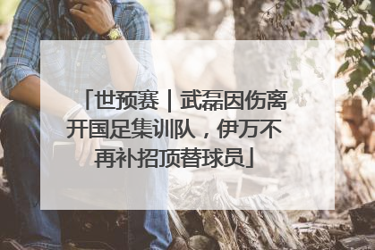 世预赛｜武磊因伤离开国足集训队，伊万不再补招顶替球员