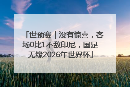 世预赛｜没有惊喜，客场0比1不敌印尼，国足无缘2026年世界杯