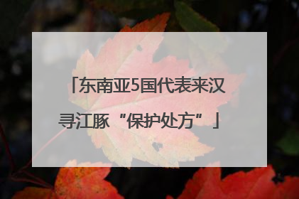 东南亚5国代表来汉寻江豚“保护处方”