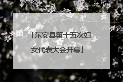 东安县第十五次妇女代表大会开幕