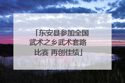 东安县参加全国武术之乡武术套路比赛 再创佳绩