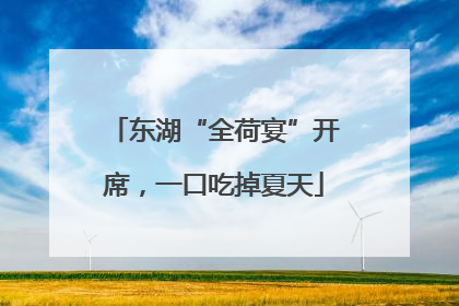 东湖“全荷宴”开席，一口吃掉夏天