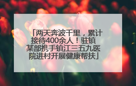 两天奔波千里，累计接待400余人！驻镇某部携手镇江三五九医院进村开展健康帮扶
