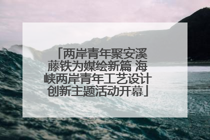两岸青年聚安溪 藤铁为媒绘新篇 海峡两岸青年工艺设计创新主题活动开幕