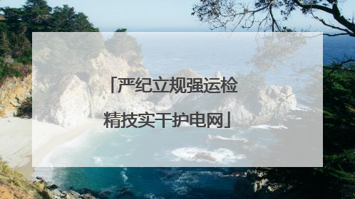 严纪立规强运检 精技实干护电网